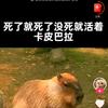 呃...