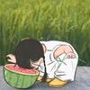 暖光浅笑@