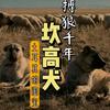 《土耳其，坎高》犬舍