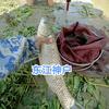 东江神户