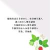 兜兜赢