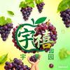 随心所欲