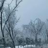 冰雪