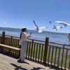 一生浪迹天涯