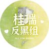 桂瑞_暗轨特工队
