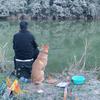 鲤鱼李游钓（云南探钓中……）