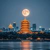 江城明月