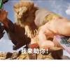 恋乄
