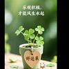 静看风云