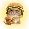 汉堡老大🍔