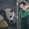 以梦为马，不负韶华
