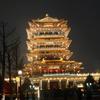 北方的狼