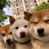 云起