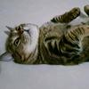 元宝是只猫