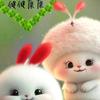 努力奔跑🏃🏻‍♂️的小兔子