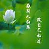 唏哩呼噜