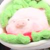 小小的大大猪猪