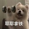 南医大橙子🍊（暑期答疑版）