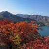 行马观野