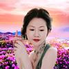 小米0415