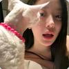 小霞求职记🦐
