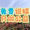 做公益相亲