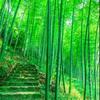 山东人在新疆
