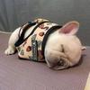 怪兽先桑丶
