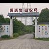唐唐垂钓中心
