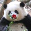 笑看红尘