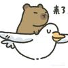 美味15