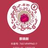 叉又不是