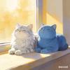 猫语碎碎念