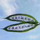 众意牛仔(共筑公寓)