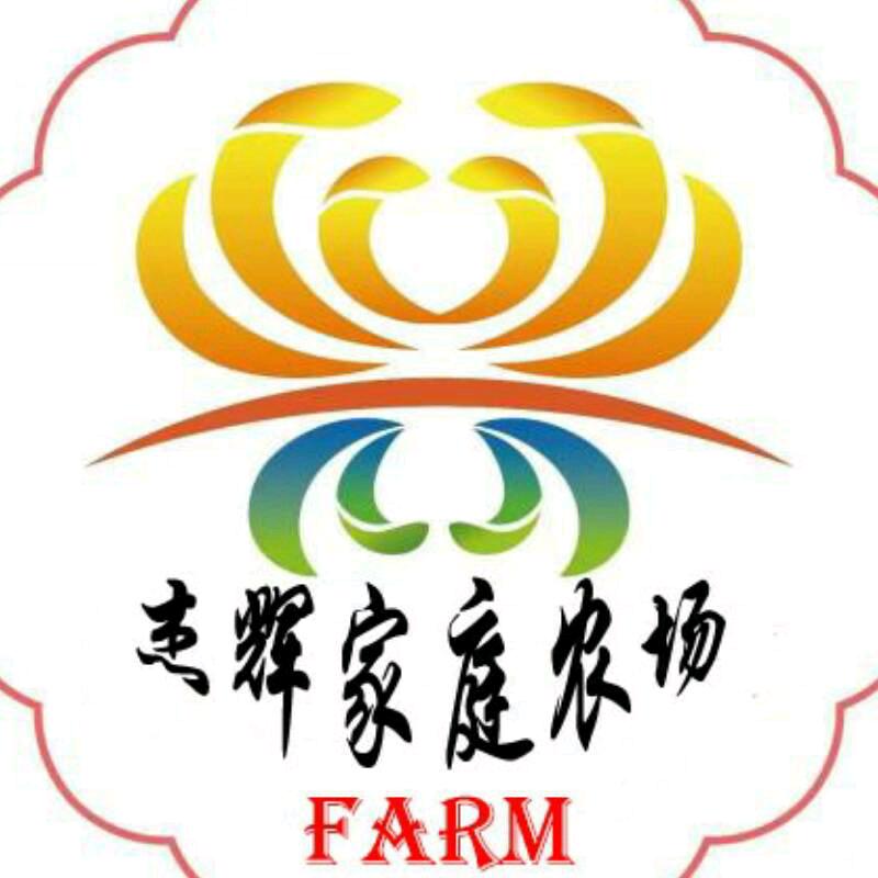 梧桐花坊