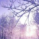 a
