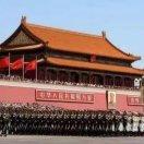 杨老大