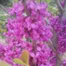 心要随遇而安