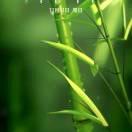 忘掉过去，从新开始