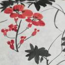 马兰花