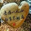 温柔的背后