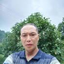 杰哥