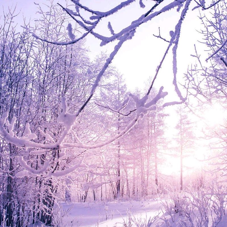 遂昌优加家政服务 同城相亲交友脱单