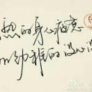 三皮￥