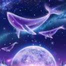 孤星