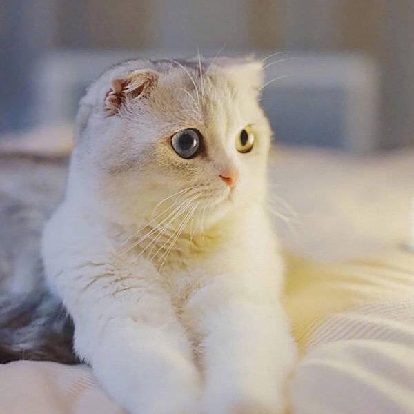 简文安防科技饭饭