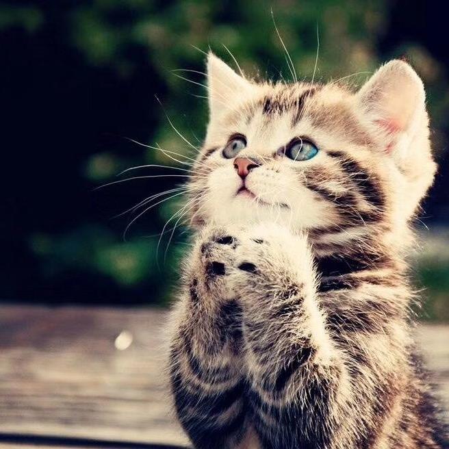 🚦永恒经典🚦