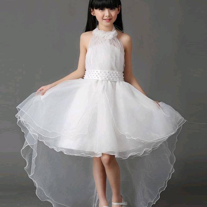 胖仙女（直播筹备中）