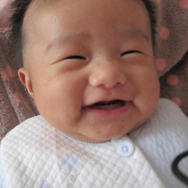 肉宝天宝