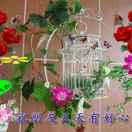 顺其自然